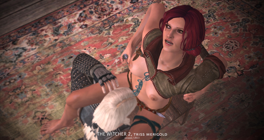 Rule 34 Witcher