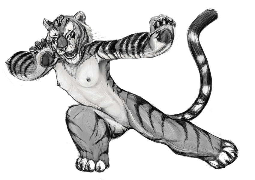 breasts feline female kung_fu_panda mammal master_tigress nipples nude pussy sabrotiger sketch small_breasts tiger