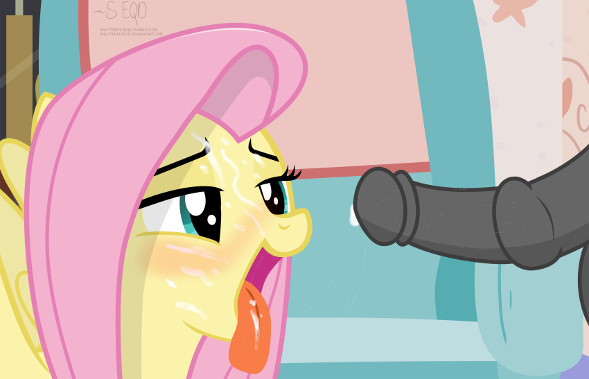2017 cum cum_in_mouth cum_inside cum_on_face disembodied_penis duo equine erection feathered_wings feathers female feral fluttershy_(mlp) friendship_is_magic hair inside male mammal my_little_pony pegasus penis pink_hair shutterflyeqd solo_focus tongue tongue_out wings