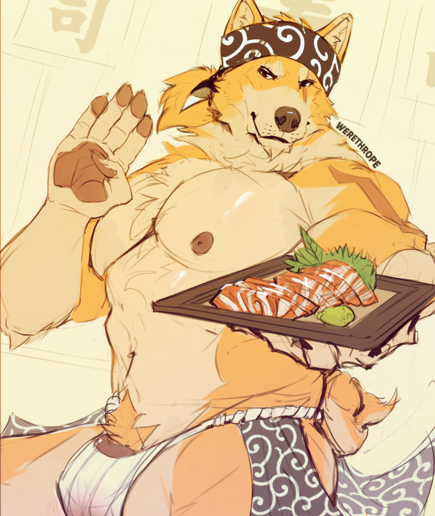 2017 anthro bare_chest biceps blonde_hair brown_eyes bulge canine chest_tuft clothed clothing food fur hair headband looking_at_viewer male male_only mammal muscular nipples oki_ka-ru_(character) pawpads plate scar shiba_inu simple_background smile sushi topless tuft underwear waiter werethrope yellow_fur