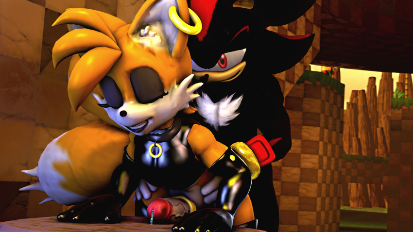 2boys 3d androgynous anthro black_eyeshadow black_fur black_lipstick clothing cock_ring ear_piercing earring elbow_gloves eyeshadow femboy girly gloves hand_on_butt hedgehog humanoid leather lips lipstick male male_only mammal mostly_nude nude orange_fur penis saygoodbye-sfm sex shadow_the_hedgehog sonic_(series) source_filmmaker tails trap video_games yaoi