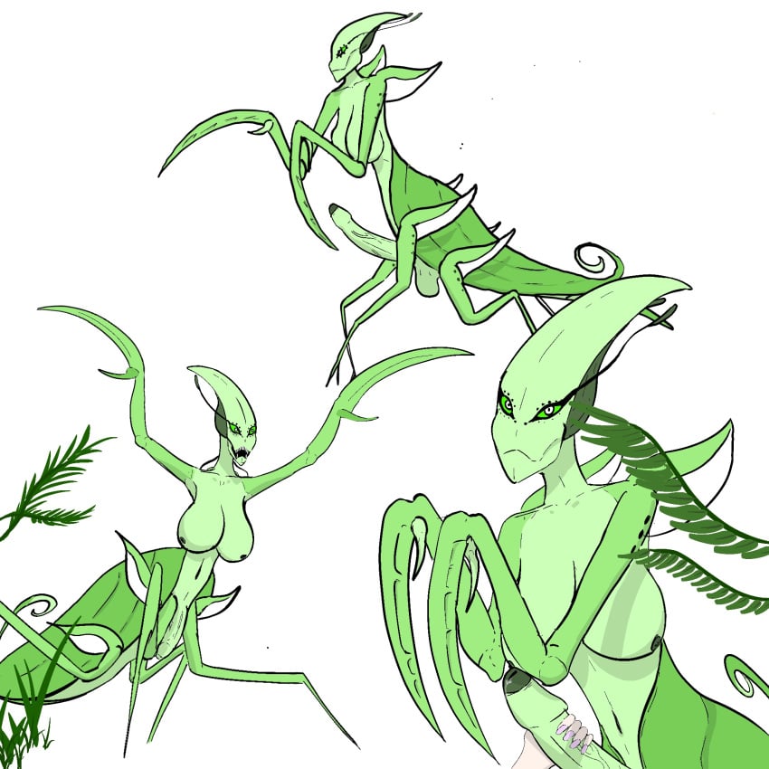 alien alien_girl female female_focus female_only futa_only futanari green_eyes green_skin insect_girl large_breasts mantis monster monster_girl naked naked_female nude nude_female nude_futanari original original_character