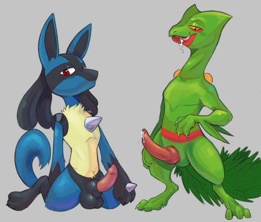 anatomically_correct anatomically_correct_genitalia anthro balls bodily_fluids drooling duo erection genital_fluids genitals hi_res licking licking_lips looking_at_viewer lucario male male/male male_only nintendo penis pokémon_(species) pokemon precum saliva sceptile tongue tongue_out video_games zombieeparty