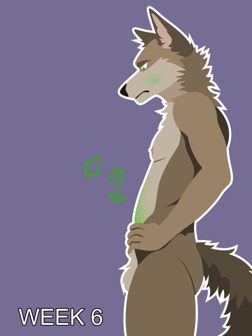 3:4 anthro balls billybobjoey canid canine canis coyote early_pregnancy flat_chested flat_shading fuzzy_balls genitals green_eyes hi_res ill male mammal nausea neck_tuft nipples nude outline pregnant pregnant_male progression series side_view simple_background slim solo tail text tuft vector
