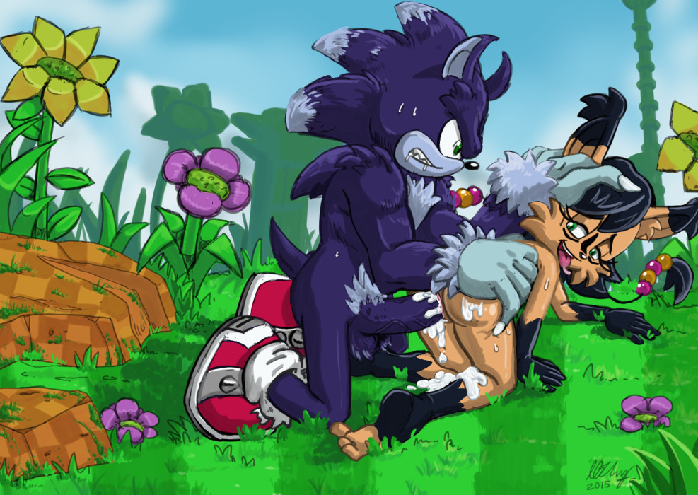 Sonic The Hedgehog Henti