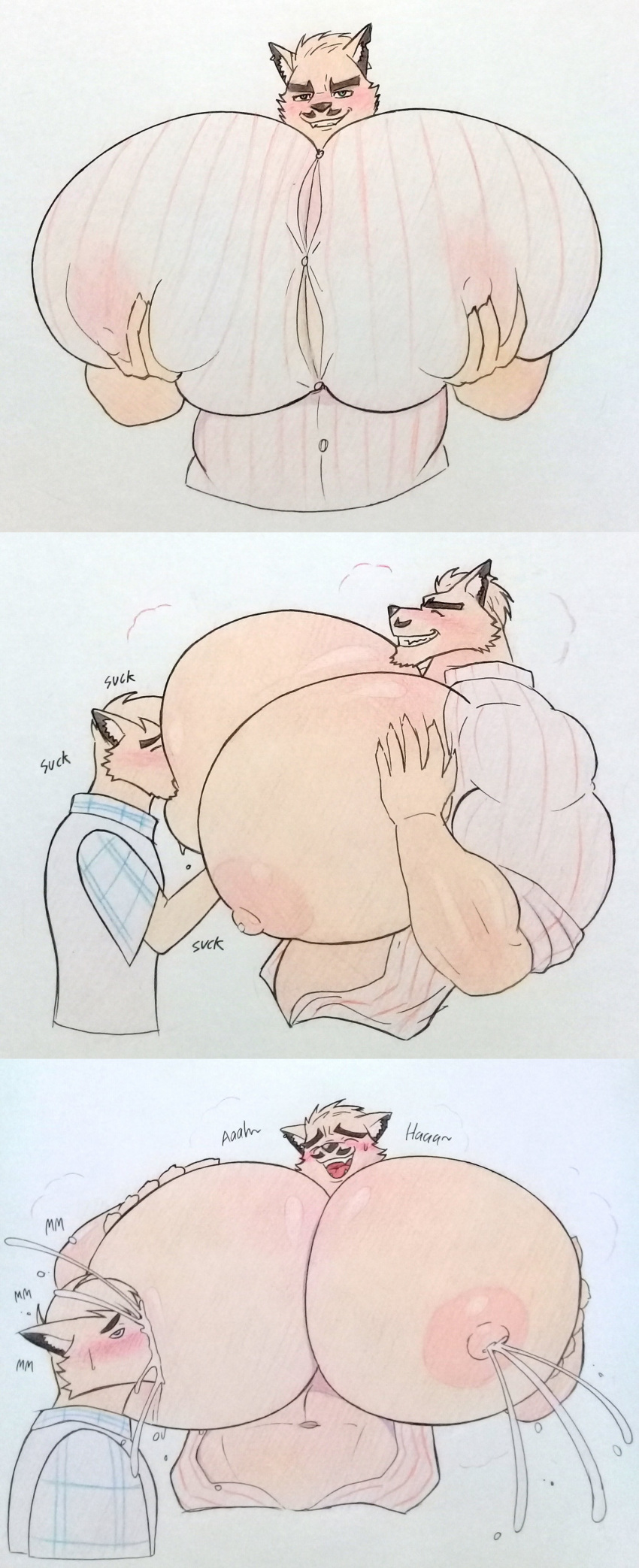 Rule 34 - 2boys bara bara tiddies bara tits big breasts big chest big