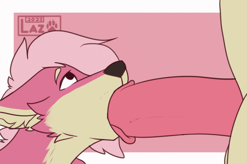Rule 34 - animated animated gif anthro big penis canid canine canis