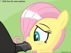  fluttershy_(mlp) friendship_is_magic mittsies my_little_pony straight_hair tagme  rating:explicit score: user:bot