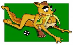 anthro bandicoot breasts brother_and_sister closed_eyes coco_bandicoot color crash_(series) crash_bandicoot female from_behind fur furry incest male mammal marsupial shostyle straight tagme rating:Explicit score:3 user:bot