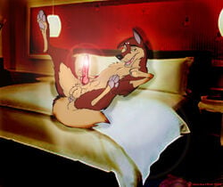  1boy 2015 anal animal_genitalia anus bandit bed canine coy dingo feral furry hindpaw holidaypup hotel hotel_room knot looking_at_viewer male male_anal male_only mammal masturbation paws penis photo_background pinup pose precum presenting sheath sly solo swiss_shepherd testicles text watermark 