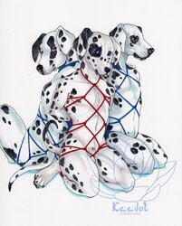  2016 animal_genitalia anthro ass balls black_fur black_nose black_pawpads blue_eyes bondage bound canine claws dalmatian english_text fur group keedot kneeling looking_at_viewer male male_only mammal multiple_subs nude pawpads red_eyes rope sheath signature simple_background spots text toe_claws watermark white_background white_fur 