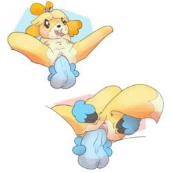  2016 animal_crossing anthro balls blush breasts canine duo eeekay female fur isabelle_(animal_crossing) male mammal nintendo nipples open_mouth penetration penis pussy simple_background smile straight video_games yellow_fur 