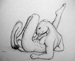  anthro black_and_white erection humanoid_penis male mammal monochrome mustelid nude penis signature sketch smile solo vandringar weasel 