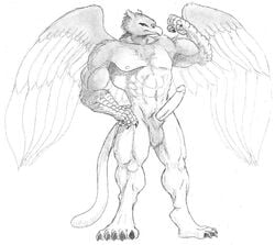  5_fingers 5_toes abs avian balls biceps big_penis chest_tuft claws erection gryphon male male_only muscular navel nipples pecs penis salamander_(artist) solo toes tuft wings 