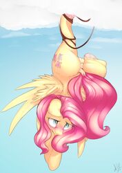  2017 angrylittlerodent anus blush cutie_mark equine feathered_wings feathers female feral fluttershy_(mlp) friendship_is_magic hair mammal my_little_pony pegasus pussy solo wings 