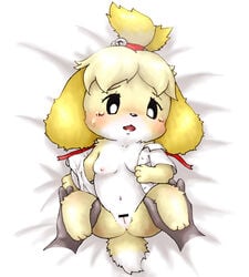  animal_crossing anus bell black_sclera blonde_hair blush bottomless breasts censor_bar censored clothed clothing disembodied_hand fallinnight feet female full_body hair isabelle_(animal_crossing) looking_down lying navel nintendo nipples on_back open_mouth open_shirt pussy shirt short_hair simple_background small_breasts solo_focus spread_legs spreading sweat tears video_games white_background white_eyes white_shirt 