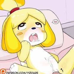  2018 ahe_gao animal_crossing blush canine canine cum cumshot ejaculation fur hanage1 heart isabelle_(animal_crossing) looking_pleasured looking_up mammal multicolored_fur nintendo open_mouth orgasm penis saliva shih_tzu signature spread_legs spreading tongue two_tone_fur video_games 
