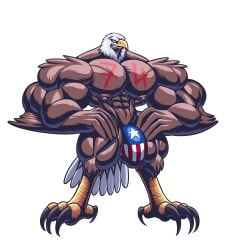  2017 4th_of_july abs accipitrid accipitriform american_eagle american_flag american_flag_underwear anthro avian bald_eagle bird bulge clothed clothing eagle hi_res holidays male male_only muscular muscular_anthro muscular_male nipples pecs sea_eagle solo underwear underwear_only united_states_of_america wolfiecanem 