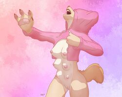  2018 6_breasts anthro bottomless breasts canid canine canis clothed clothing domestic_dog female fortestingpurposes hoodie mammal maple_(fortestingpurposes) meme multi_breast multi_genitalia multi_pussy nipples open_mouth pussy simple_background solo standing twitter_hoodie 