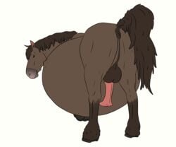  2018 absurd_res animal_genitalia balls belly big_belly equid equine erection feral hair hi_res horse lionsilverwolf male male_pregnancy mammal penis pregnant ready_to_pop solo 