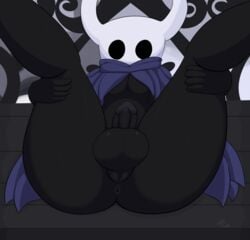  2019 anthro arthropod ass balls featureless gay hi_res hollow_knight insects looking_at_viewer lying male not_safe_for_reality on_back presenting protagonist_(hollow_knight) solo team_cherry vessel_(species) video_games 