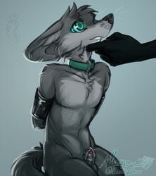  2019 ambiguous_gender animal_genitalia animal_penis anthro arms_tied balls black_body black_nose black_scales bondage bondage bound canid canine canine_penis chastity_cage chastity_device collar countershade_torso countershading disembodied_hand faceless_ambiguous fennec fluffy fox fur gradient_background green_eyes grey_background grey_body grey_countershading grey_fur half-closed_eyes half-length_portrait hand_on_chin hands_behind_back hi_res hypnosis idoodle2draw inner_ear_fluff kneeling light_bondage luku male mammal mind_control nude penis poking_out portrait red_penis scales scalie signature simple_background sketch solo_focus spiral_eyes submissive submissive_male three-quarter_portrait tuft whiskers 
