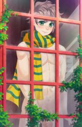  1boy blush_blush green_eyes male male_only reece_(blush_blush) sad_panda_studios scarf through_window window 