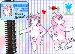  2020 anthro ass balls biped bunnybara canid canine canis domestic_dog english_text fur genitals heart herding_dog male male_only mammal pastoral_dog penis pink_body pink_fur solo text tongue tongue_out welsh_corgi white_body white_fur 