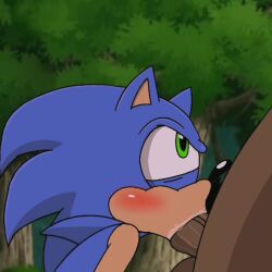  2boys animated blowjob blowjob_face blue_fur blue_hair blue_skin cum cum_in_mouth cum_inside fast forest furry gay green_eyes hedgehog horny inside_mouth inside_view internal internal_fellatio internal_oral looking_pleasured male/male male_only mammal penis_on_tongue saliva slow_penetration sonic_(series) sonic_the_hedgehog sonic_the_hedgehog_(series) sound spanky15 video wet 