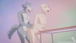 16:9 3d_(artwork) 3d_animation anal anal_sex animated anthro balls beastars bent_over bent_over_table big_balls big_penis bird_dog bouncing_balls bouncing_penis canid canine canis digital_media_(artwork) domestic_dog duo from_behind_position gay genitals hi_res hunting_dog jack_(beastars) labrador legoshi_(beastars) looking_pleasured male male/male male_penetrated male_penetrating male_penetrating_male mammal no_sound penetration penis retriever screwingwithsfm sex short_playtime stomach_bulge tagme video widescreen wolf 