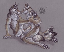  anthro blotch canine canine_penis colored_background couple fur furry furry_only gay hindpaw intimate male no_humans nude peeping penis sheath wolf 
