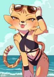  2022 akino_(kemokin_mania) anthro armpit armpit_hair armpit_tuft armpits blep blush breasts brown_eyes cheek_tuft cheetah elbow_tufts eyewear_on_head feline female female_only furry furry_only in_water kemokin_mania looking_at_viewer mlem navel ocean sea signature small_breasts spotted_body spotted_fur sunglasses sunglasses_on_head swimsuit tail tongue tongue_out 
