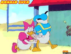  angry_sex animated avian avians beach bird bottomless daisy_duck disney donald_duck duck fellatio high_heels lips lips_(artist) outdoors penis soft_feathers tagme testicles white_feathers white_fur 